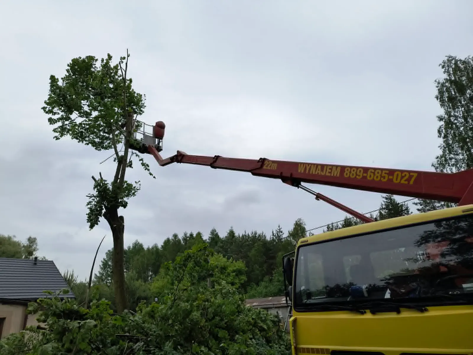 Wycinka drzewa przy domu jednorodzinnym